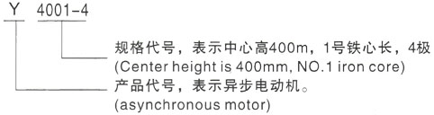 西安泰富西玛Y系列(H355-1000)高压姑苏三相异步电机型号说明